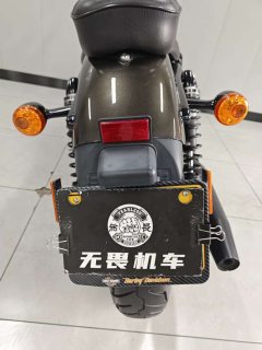 Harley-Davidson Iron883 Tough Guy - photo 9