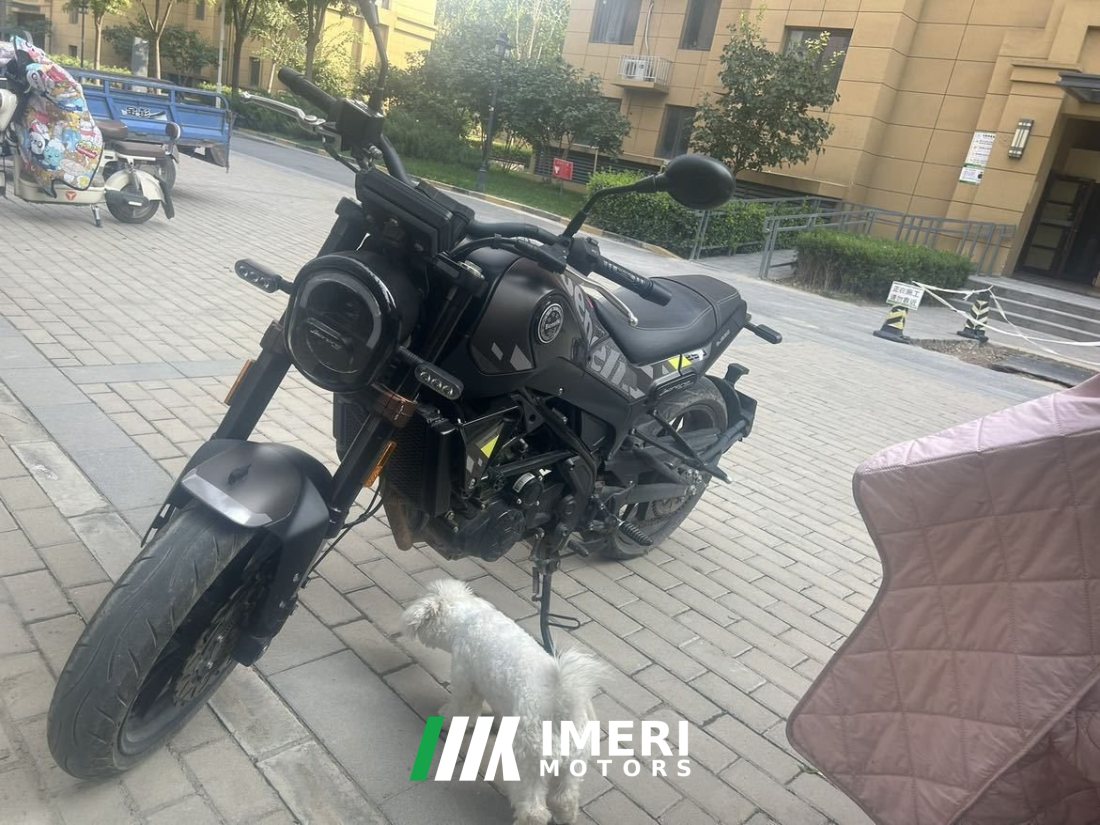 Benelli Young Lion Leoncino 250 - მოტოციკლი ჩინეთიდან