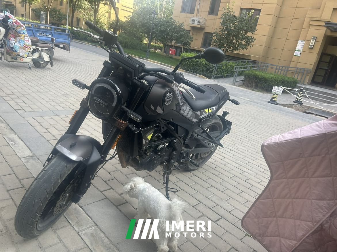 2022 Benelli Young Lion Leoncino 250