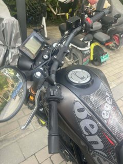Benelli Young Lion Leoncino 250 - ფოტო 3