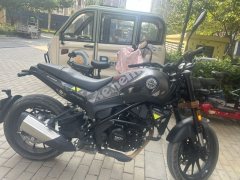 Benelli Young Lion Leoncino 250 - ფოტო 5