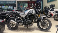 Benelli Lion Cub Leoncino 500 - photo 2