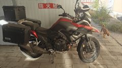 Kayo 500X - photo 5
