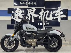 QJMOTOR Flash 300 - photo 3