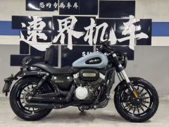 Benda Challenger 300 - photo 4