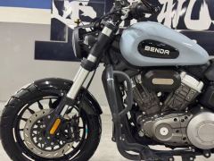 Benda Challenger 300 - photo 9