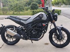 Benelli Young Lion Leoncino 250 - ფოტო 2
