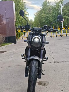 Benelli Young Lion Leoncino 250 - ფოტო 9