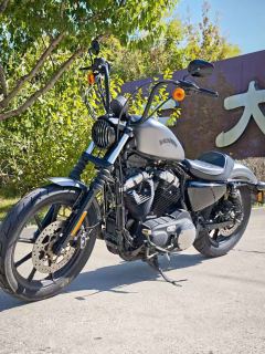 Harley-Davidson Tough Guy lron 1200 - photo 4