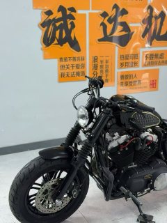 Harley-Davidson Forty-Eight athlete 1200 cc - ფოტო 8