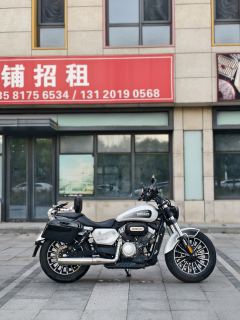 Benda Polestones 03 Gray 300 cc - photo 1
