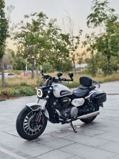 Benda Polestones 03 Gray 300 cc - photo 4