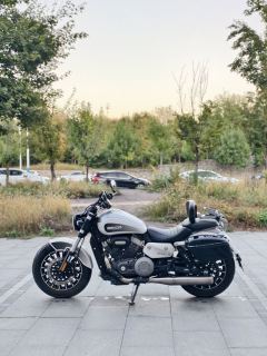 Benda Polestones 03 Gray 300 cc - photo 5