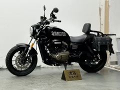 QJMOTOR Flash 300 - photo 3