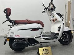 Weiduoliya Sixties 150i - ფოტო 9