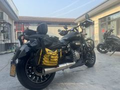 Benda Polestones 03 Gray 300 cc - photo 7