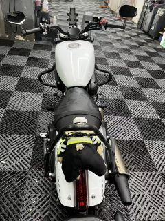 QJMOTOR Flash 300 - ფოტო 5