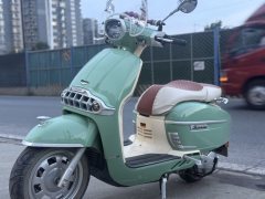 Weiduoliya Sixties 150Si - ფოტო 2