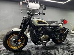 Cyclone AQS401 400 cc - фото 8