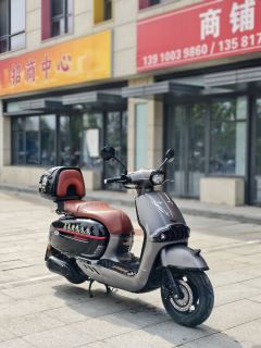 Weiduoliya Sixties 150Si - ფოტო 2