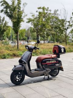 Weiduoliya Sixties 150Si - ფოტო 4