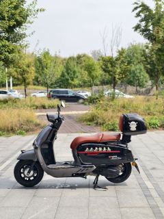 Weiduoliya Sixties 150Si - ფოტო 5