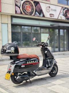 Weiduoliya Sixties 150Si - ფოტო 8