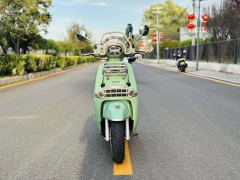 Weiduoliya Sixties 150Si - ფოტო 4