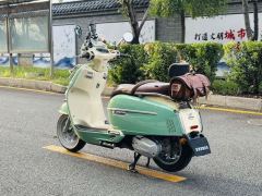 Weiduoliya Sixties 150Si - ფოტო 7
