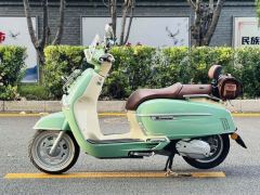 Weiduoliya Sixties 150Si - ფოტო 8