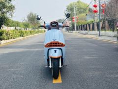 Weiduoliya Sixties 150Si - ფოტო 4