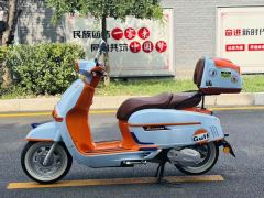 Weiduoliya Sixties 150Si - ფოტო 8