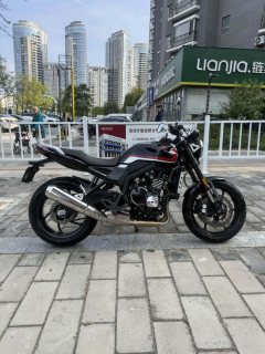 Zhangxue Motorcycles 500F - фото 3