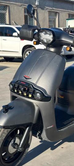 Weiduoliya Sixties 300i - ფოტო 3
