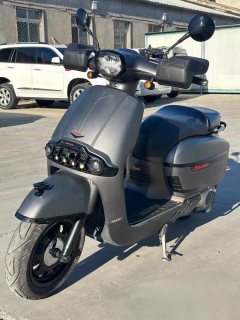 Weiduoliya Sixties 300i - ფოტო 4