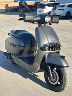 Weiduoliya Sixties 300i - ფოტო 6