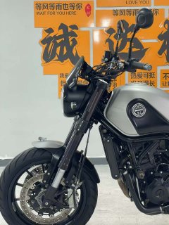 Benelli Lion Cub Leoncino 500 - ფოტო 5