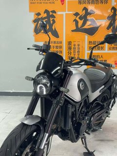 Benelli Lion Cub Leoncino 500 - ფოტო 6