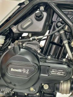 Benelli Lion Cub Leoncino 500 - ფოტო 7