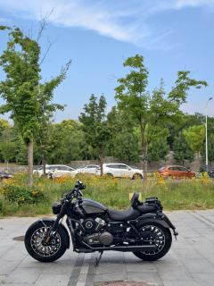 Benda Graystone 250 - photo 5