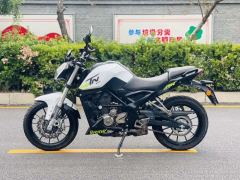 Benelli Little Yellow Dragon TNT25 250 cc - ფოტო 8