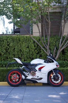 Ducati Panigale V2 955 cc - ფოტო 1