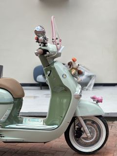 Weiduoliya Sixties 150Si - ფოტო 3