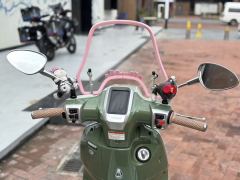 Weiduoliya Sixties 150Si - ფოტო 5
