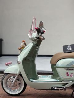 Weiduoliya Sixties 150Si - ფოტო 7
