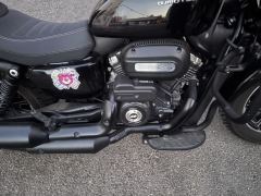 QJMOTOR Flash 250 - photo 1