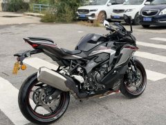Kawasaki ZX-4R 400 cc - ფოტო 4