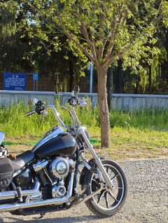 Harley-Davidson Low Rider 1750 cc - ფოტო 11