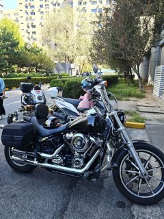 Harley-Davidson Low Rider 1750 cc - ფოტო 5