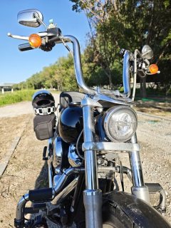 Harley-Davidson Low Rider 1750 cc - ფოტო 7